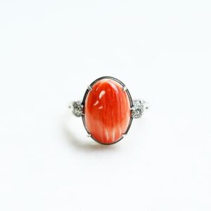 【Made in Japan】紅刺螺 諾亞鸚鵡 戒指